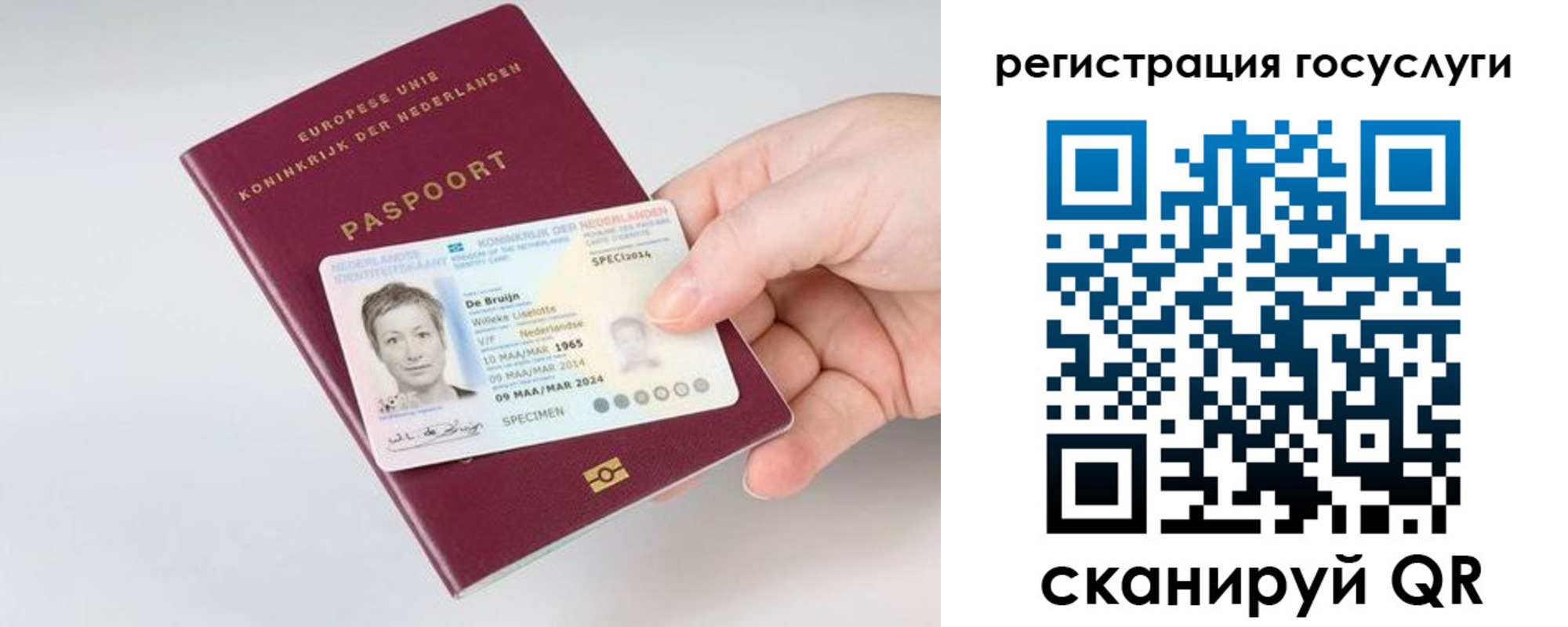 регистрация для дет. сада в Химках